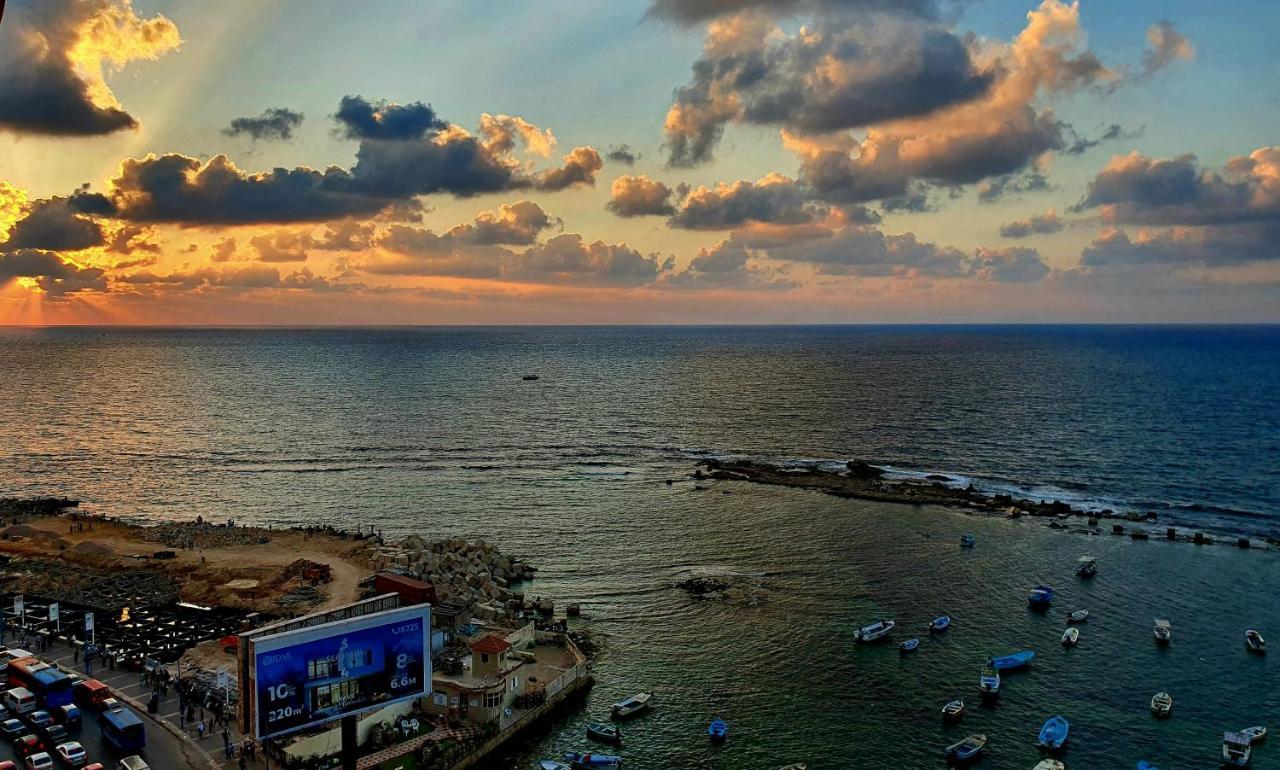 Miami Island * Alexandria